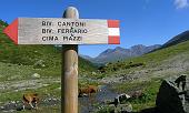 12 Comincia il sentiero
